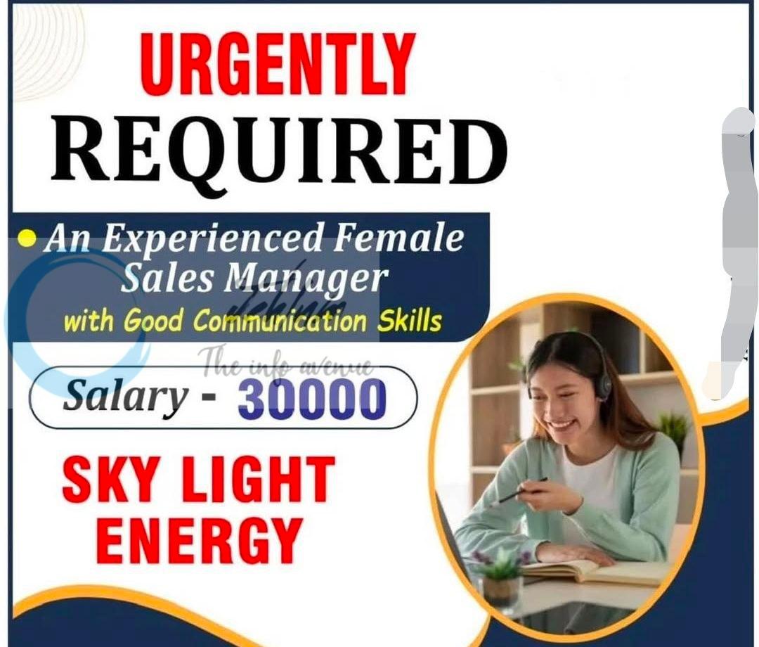 Sky Light Energy Careers srinagar sales manager job opportunities 2026