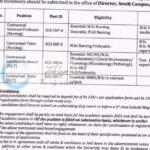 KU South Campus Nursing and Paramedical Sciences staff employment opportunities notice F/Advt-Appt-Cont-2026-NUR/DAA/KU-06