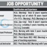 Ramzaan College of Nursing and Paramedical Sciences RCNPS Pampore Professor and Tutor employment opportunities 2026