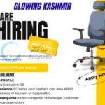 Glowing Kashmir srinagar sales executive job opportunities 2026