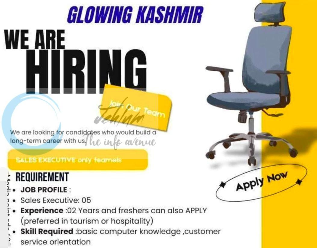 Glowing Kashmir srinagar sales executive job opportunities 2026