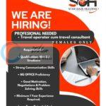 Star Gaze Heavens Tour and Travel srinagar counsultant job opportunities 2026