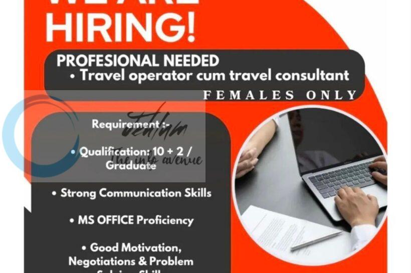 Star Gaze Heavens Tour and Travel srinagar counsultant job opportunities 2026