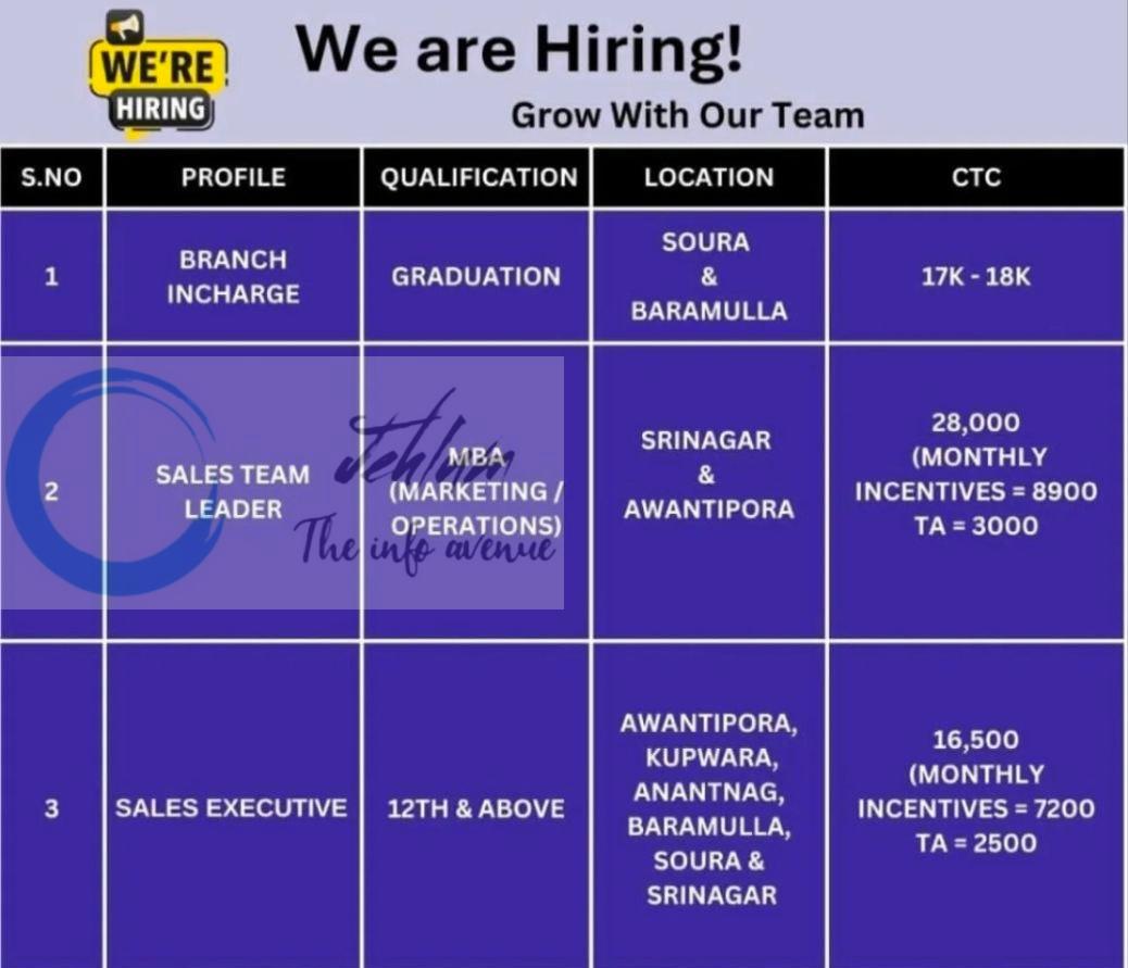 IA Multi Ventures Pvt Ltd Srinagar Branch Incharge/Sales Team Leader /Sales Executive job opportunities 2026