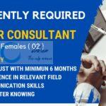 Content Holidays Tour and Travel srinagar travel consultant job opportunities 2026