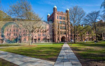 Yale University Dorrit Hoffleit USA Summer Fellowship opportunities 2026