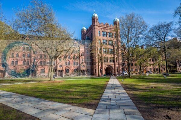 Yale University Dorrit Hoffleit USA Summer Fellowship opportunities 2026