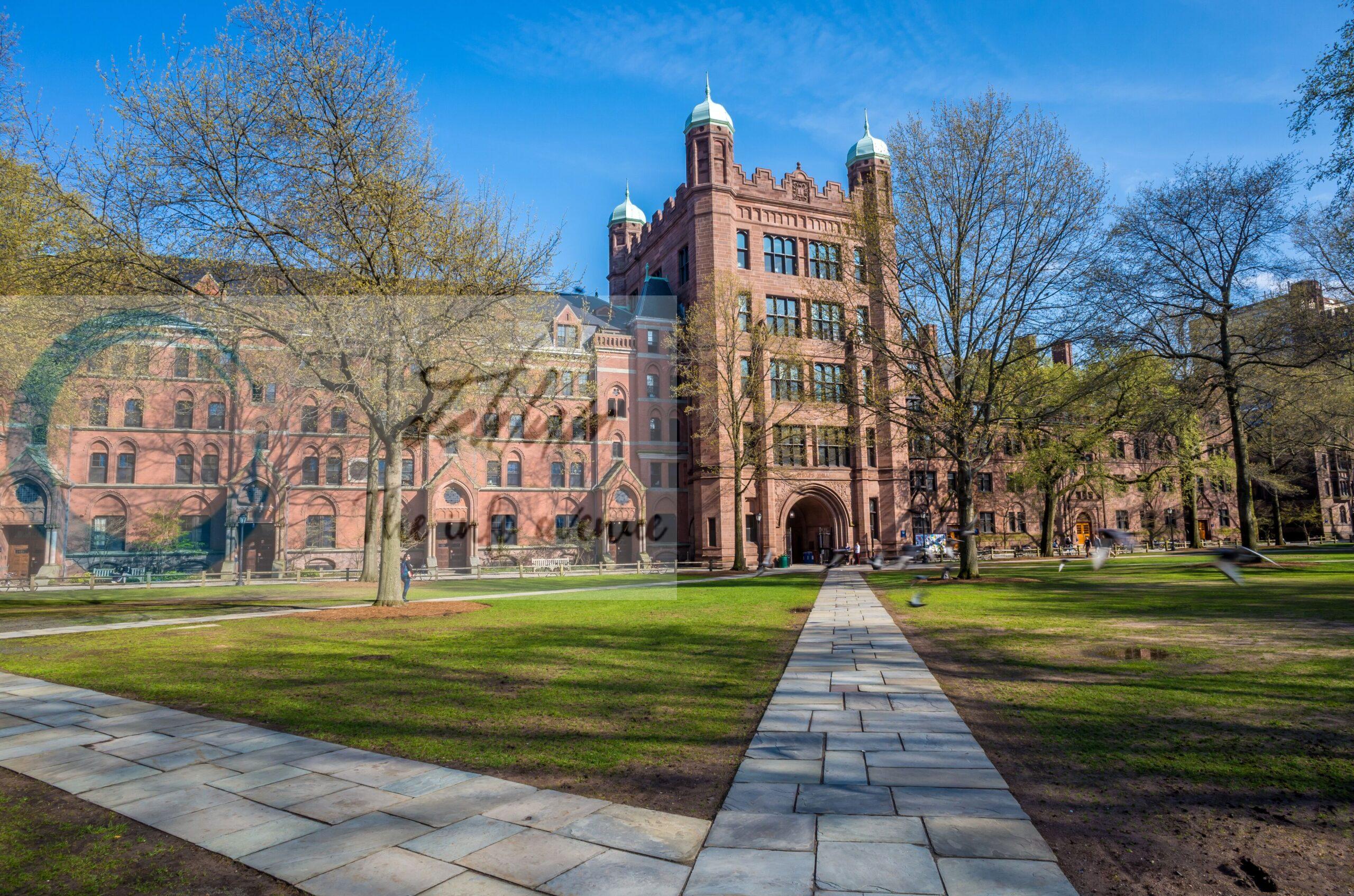 Yale University Dorrit Hoffleit USA Summer Fellowship opportunities 2026