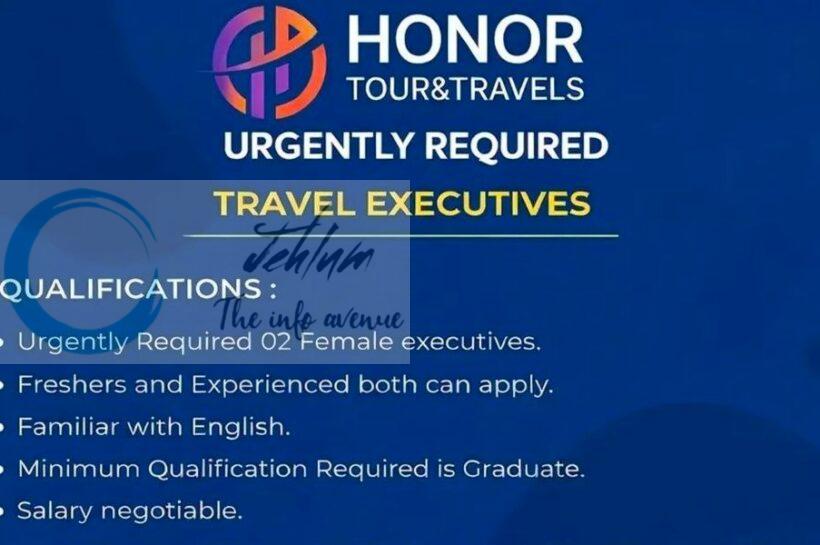 Honor Tour and Travels HTT Srinagar Travel Executive job opportunities 2026