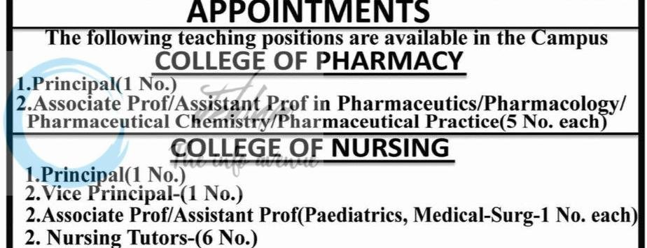 Madr e Meharban Campus of Health Sciences MMCHS Jammu teaching job opportunities 2026
