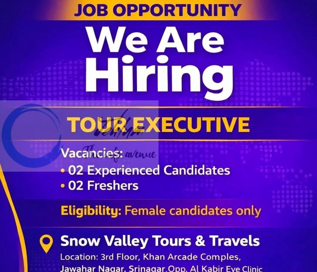 Snow Valley Tours and Travels Srinagar Tour Executive job opportunities 2026