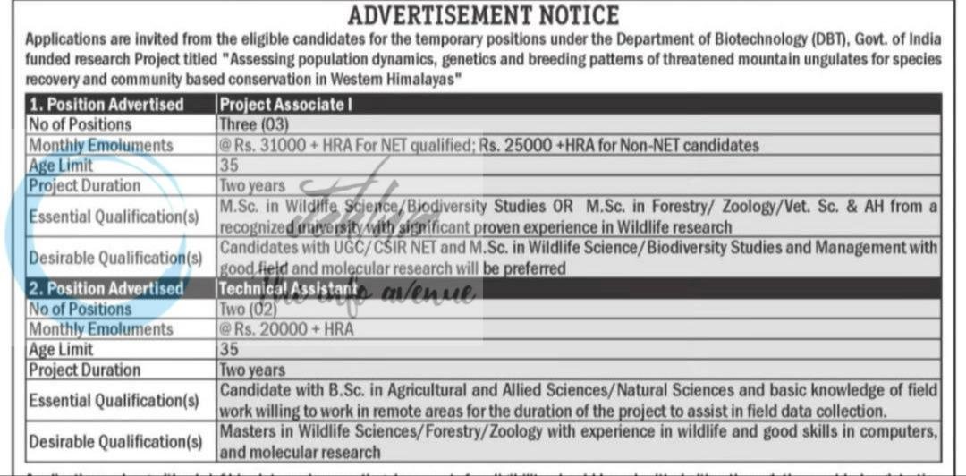 Sher e Kashmir University of Agricultural Sciences and Technology of Kashmir SKUAST K Benhama Project Associate I/Technical Assistant job opportunities notice DIPK-NB-3239-50