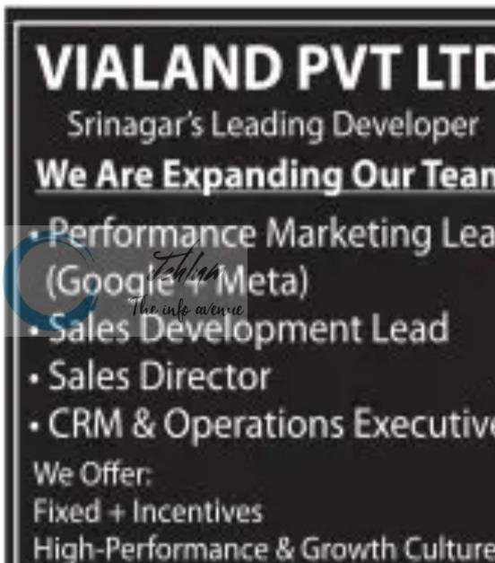 Vialand Pvt Ltd Srinagar marketing and sales job opportunities 2026