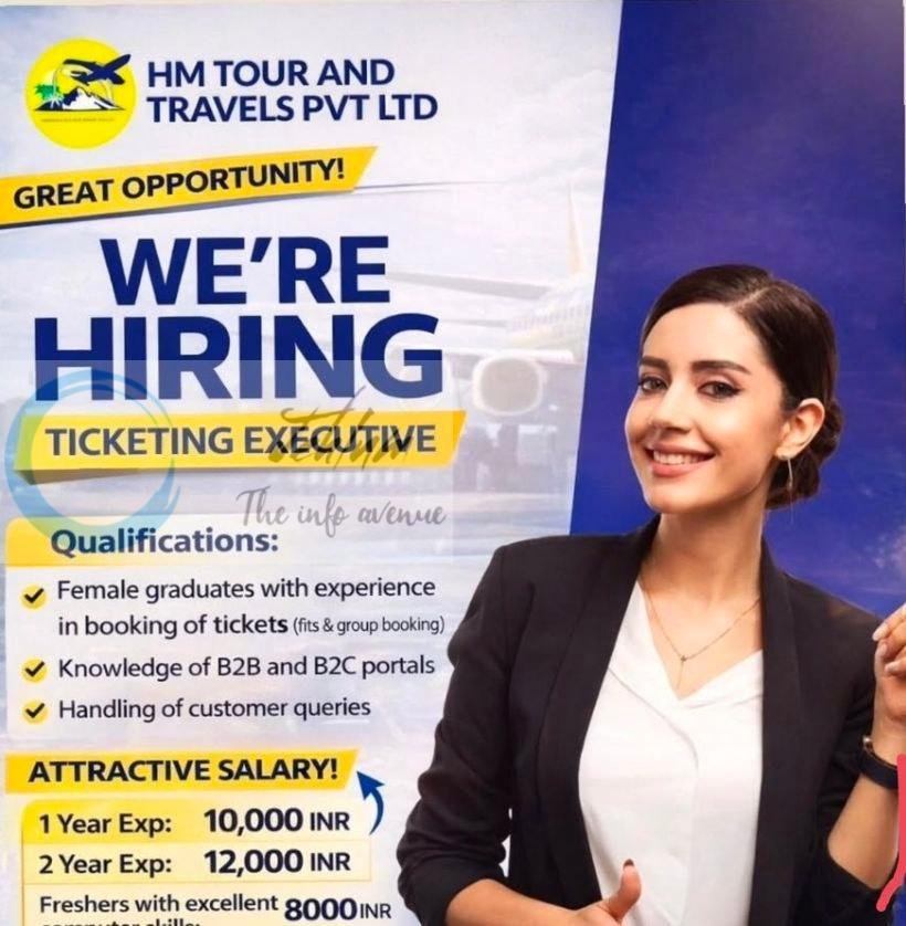 HM Tour and Travels Pvt Ltd HM Srinagar Ticketing Executive job opportunities 2026