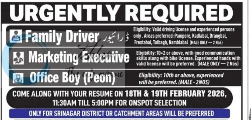 International Advertising Agency Srinagar staff job opportunities 2026