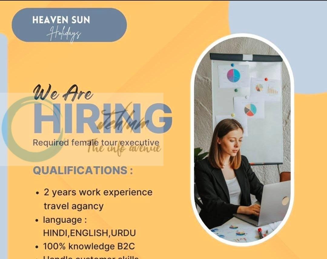 HEAVEN SUN HOLIDAYS SRINAGAR TOUR EXECUTIVE JOB OPPORTUNITIES 2026