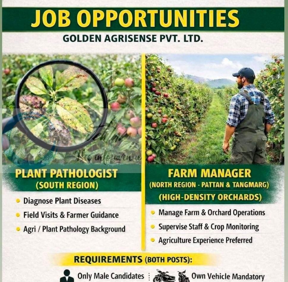 GOLDEN AGRISENSE PVT LTD GAPL Pattan Plant Pathologist/Farm Manager job opportunities 2026