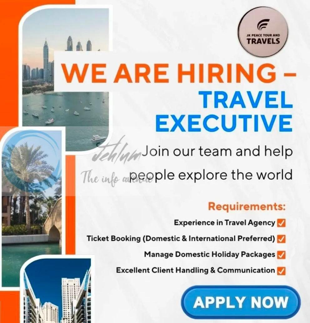 JK PEACE TOUR AND TRAVELS SRINAGAR TRAVEL EXECUTIVE JOB OPPORTUNITIES 2026
