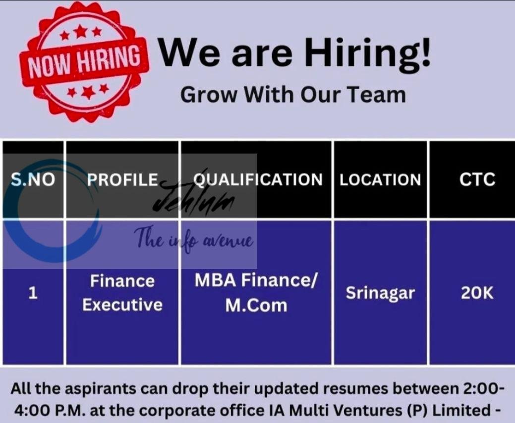 IA Multi Ventures pvt Limited IAMVPL Srinagar Finance Executive job opportunities 2026