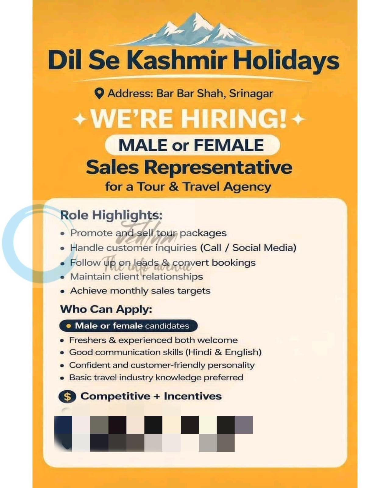 Dil Se Kashmir Holidays Srinagar Sales Representative job opportunities 2026