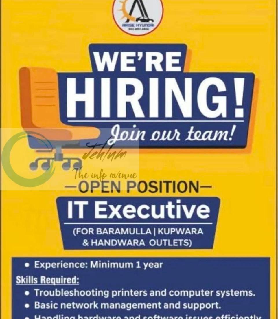 Arise Hyundai Baramulla IT Executive job opportunities 2026