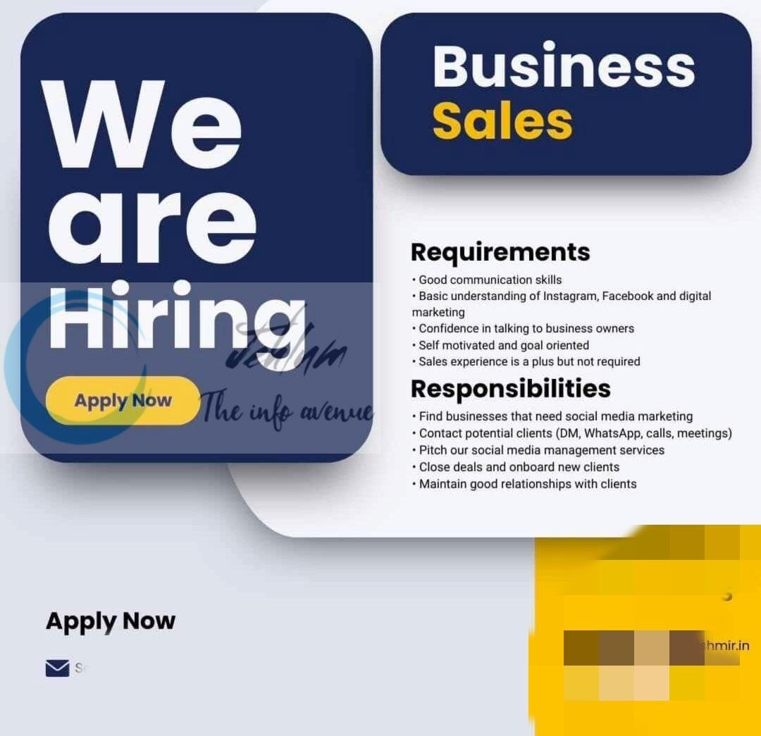 AYS Kashmir AYS Business Sales srinagar job opportunities 2026