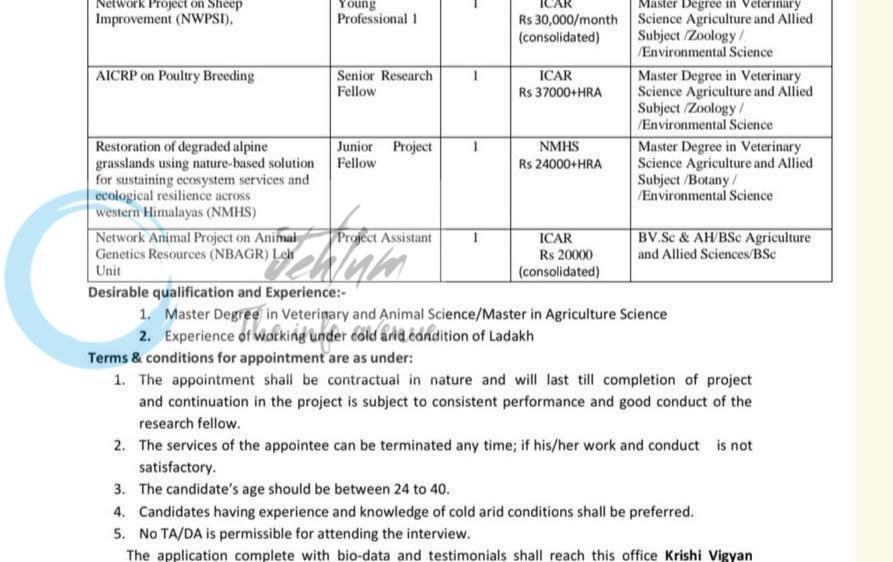 SKUAST-K Krishi Vigyan Kendra Leh Young Professional 1 Senior Research Fellow Junior Project Fellow employement opportunities 2026