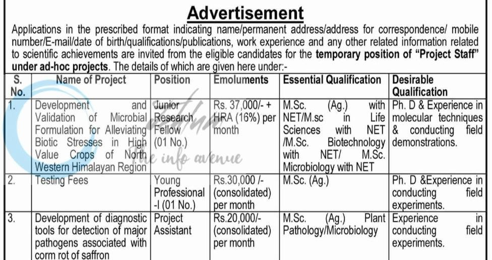 SKUAST-Jammu Division of Plant Pathology Junior Research Fellow/ Young Professional-I/ Project Assistant Recruitment Advt Notice AU/DPP/25-26/F-64/5509-5512
