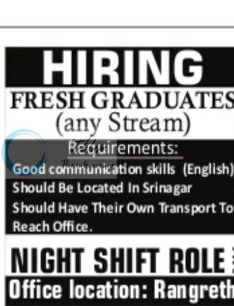 Hire Hippo Srinagar Fresh Graduates Night Shift Role job opportunities 2026