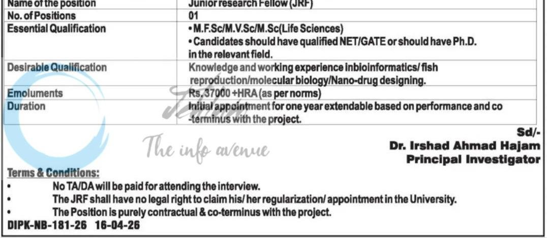 SKUAST KASHMIR SKUAST-K DIVISION OF AQUACULTURE GANDERBAL JUNIOR RESEARCH FELLOW job opportunities notice DIPK-NB-181-26 2026