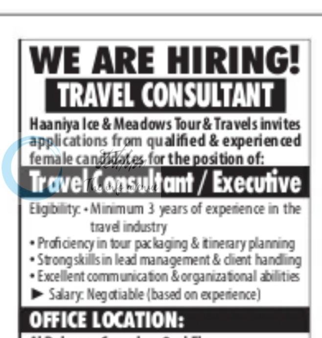 Haaniya Ice and Meadows Tour and Travels Srinagar Travel Consultant Executive job opportunities 2026