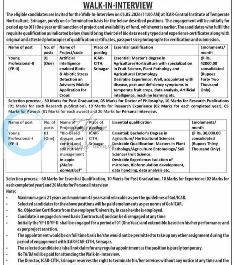 ICAR-Central Institute of Temperate Horticulture ICAR-CITH Srinagar Young Professional-I Young Professional-II job opportunities notice DIPK-NB-210/26 2026