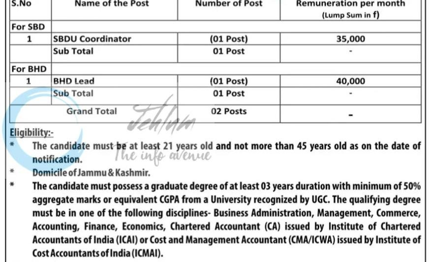 District Development Commissioner Srinagar DDC Small Business Development Unit SBDU Coordinator BHD Lead Jobs Advertisement Notice DIPK-602/26