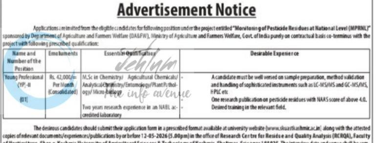 Sher-e-Kashmir University of Agricultural Sciences and Technology of Kashmir SKUAST-K Research Centre for Residues and Quality Analysis Srinagar Young Professional job opportunities notice YP-II AU/MPRNL/RCRQA/26/88