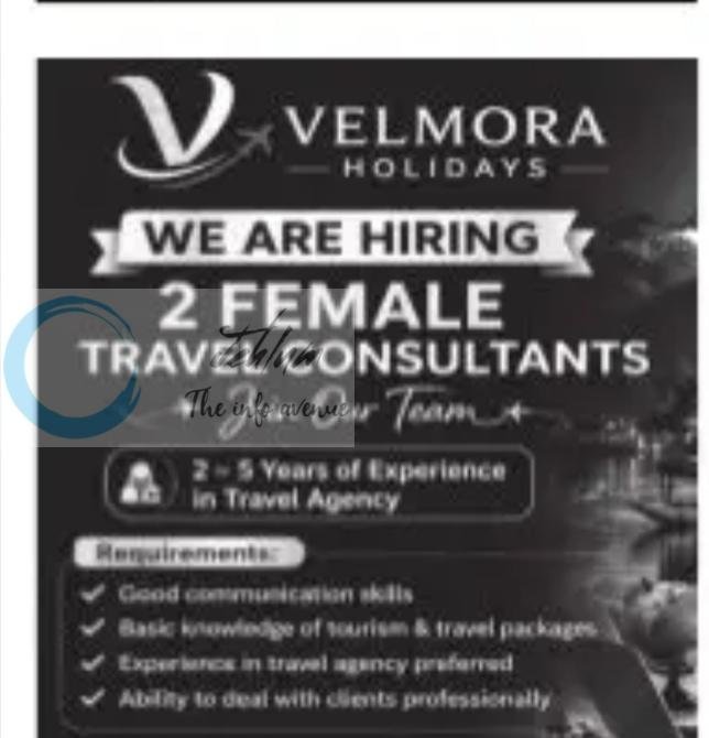 Velmora Holidays Srinagar Female Travel Consultants job opportunities 2026