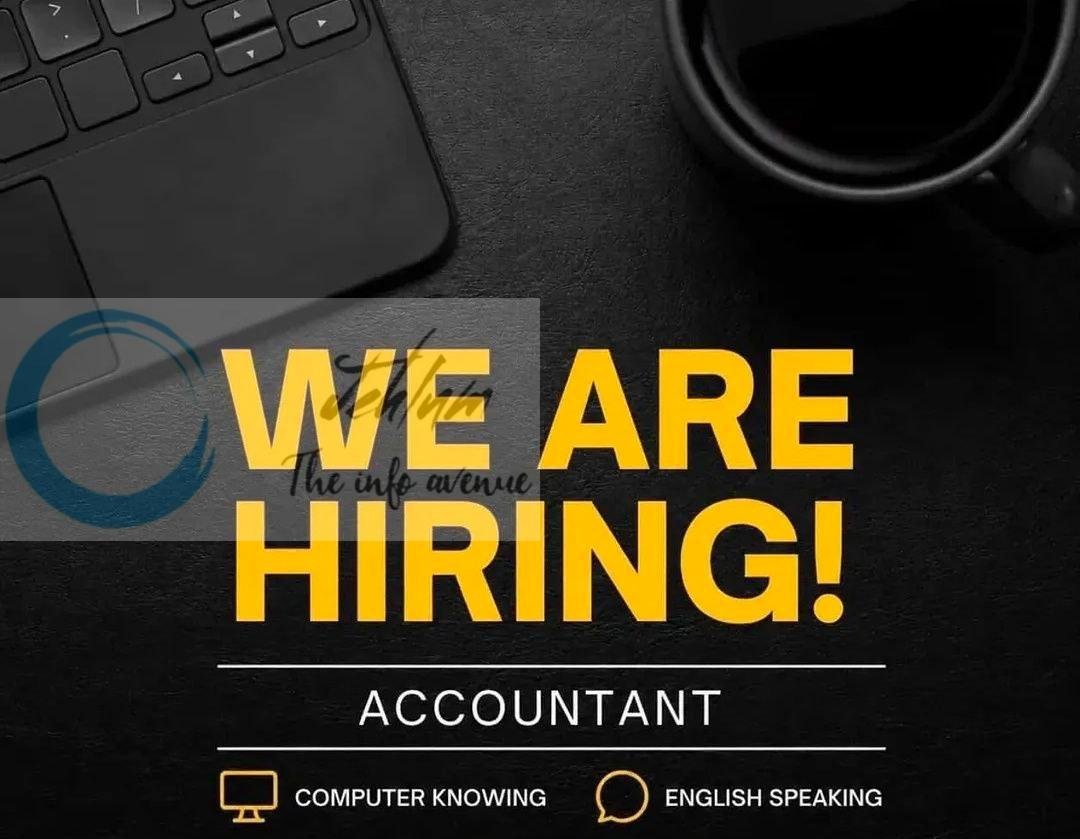 Tripmore srinagar Accountant job opportunities 2026