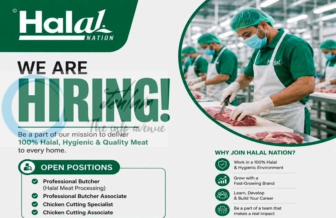 Halal Nation Srinagar staff job opportunities 2026