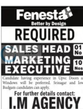 Fenesta IM Agency Srinagar Sales Head Marketing Executive job opportunities 2026