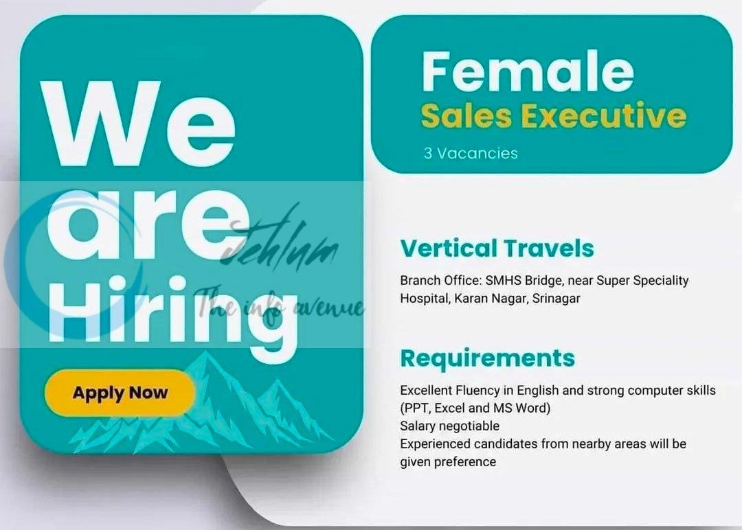 Vertical Travels Srinagar Female Sales Executive job opportunities 2026