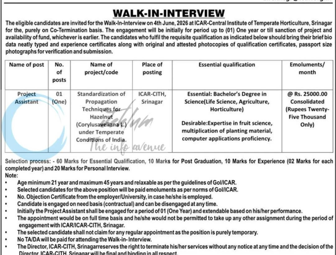 ICAR-Central Institute of Temperate Horticulture ICAR-CITH Srinagar project assistant job opportunities 2026