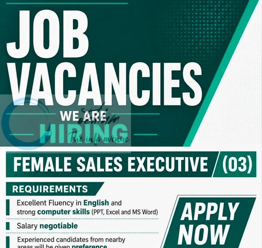 Vertical Travels Kashmir VTK Srinagar  Sales Executive job opportunities 2026