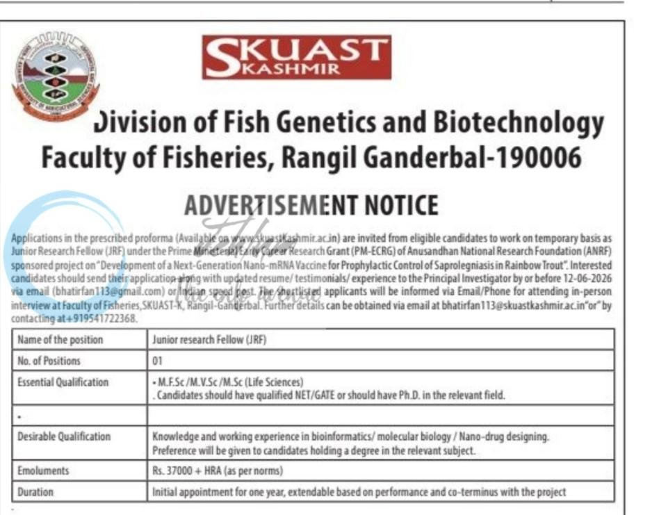SKUAST Kashmir SKUAST-K Faculty of Fisheries Ganderbal JRF job opportunities DIPK-NB-662-26