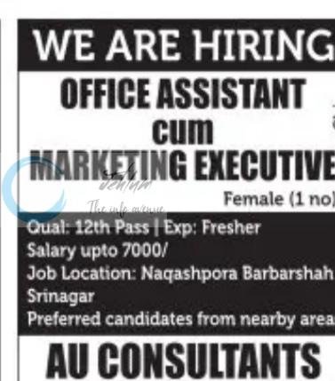AU CONSULTANTS srinagar Office Assistant cum Marketing Executive job opportunities 2026