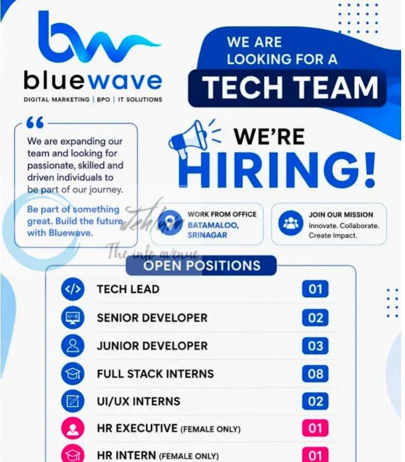 Bluewave Batamaloo Srinagar Tech Lead Developer Full Stack Intern HR Executive job opportunities 2026