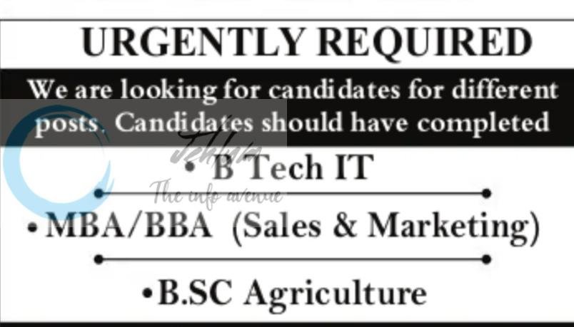 Kashmir Motors srinagar job opportunities 2026