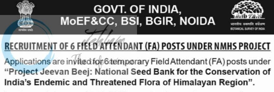 Botanical Survey of India BSI BGIR Noida Field Attendant job opportunities 2026