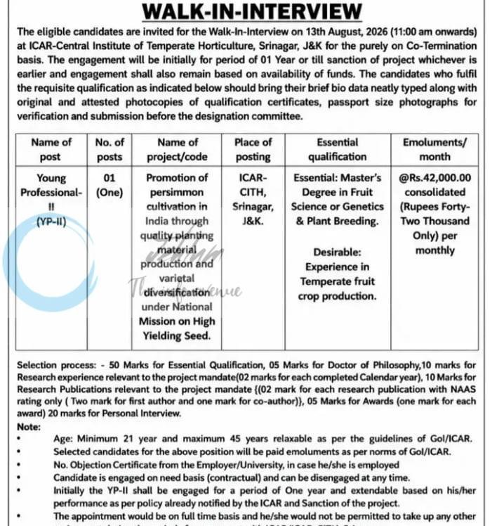 ICAR CITH Srinagar Young Professional YP II employment opportunities  Walk In 2026