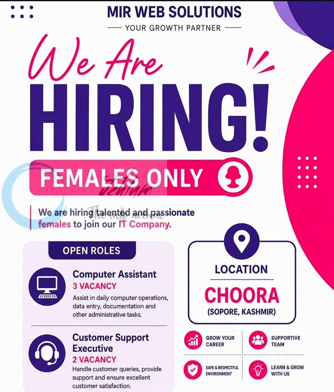 Mir Web Solutions MWS Sopore Computer Assistant Customer Support Executive job opportunities 2026