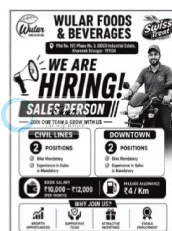 Wular Foods Beverages Srinagar Sales Person job opportunities 2026 1 Wular Foods Beverages Srinagar Sales Person job opportunities 2026