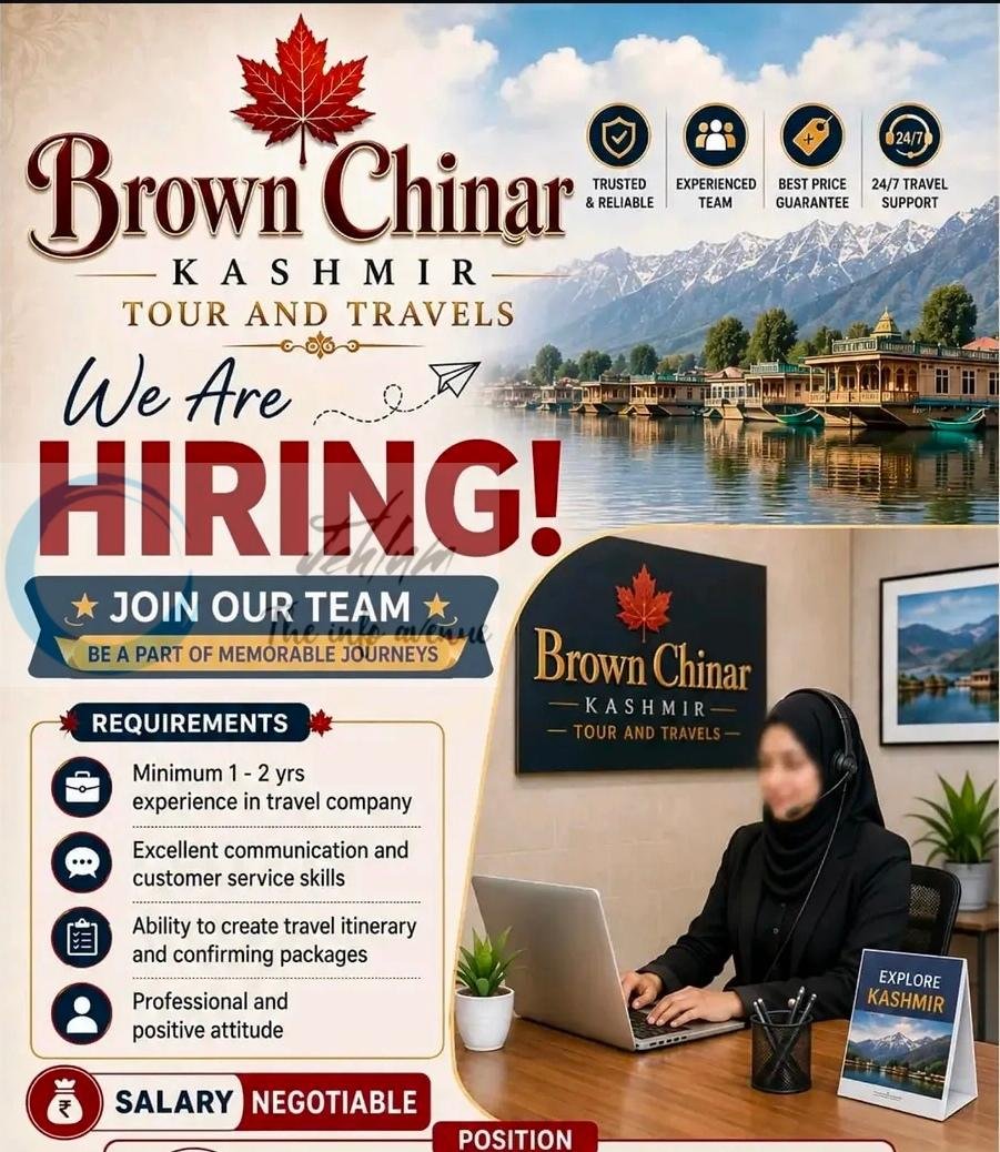 Brown Chinar Kashmir Tour and Travels Srinagar Travel Executive job opportunities 2026